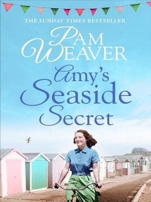 cover image of Amy's Seaside Secret